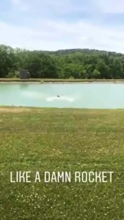 Rocket Dog