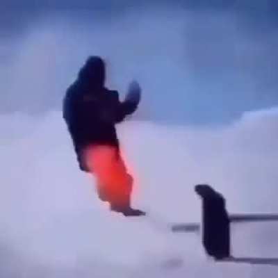 Kowalski análise
