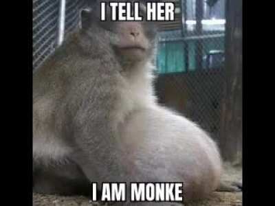 monke