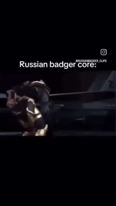 a tiny shitpost