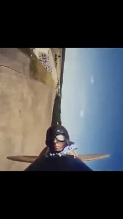 [Dogfight]: Bird 1 - Plane 0