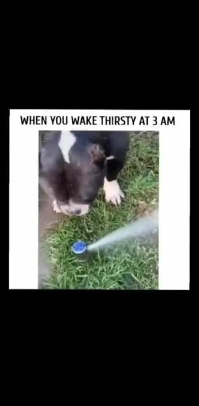 I am thirsty