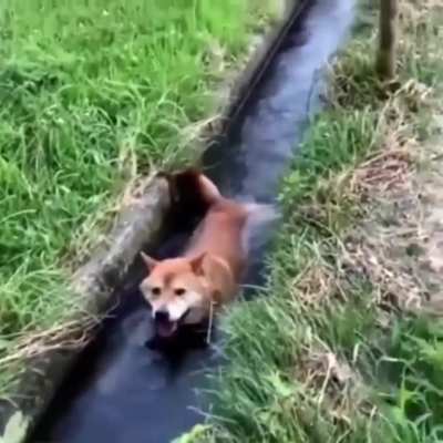 Just along for the ride