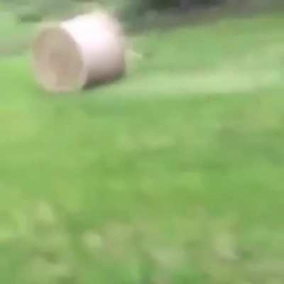 Jumping a hay bale.