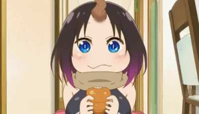Nom nom