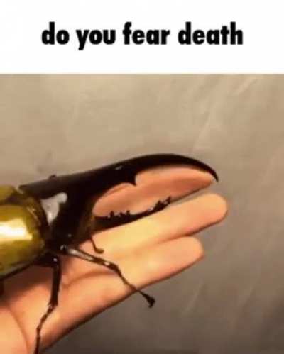 rule