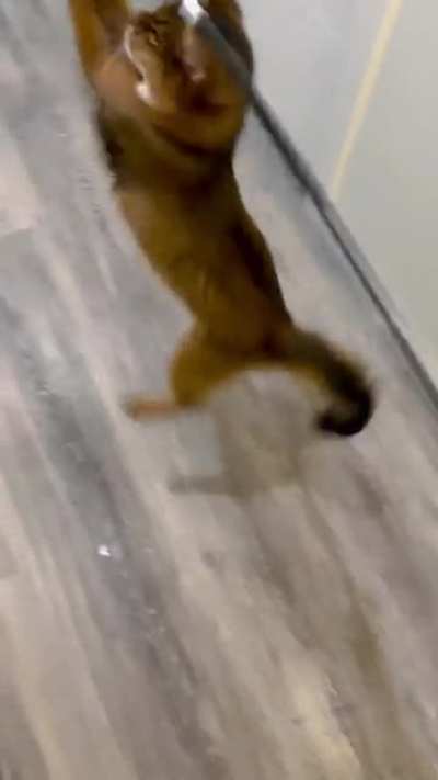 Jump jump!