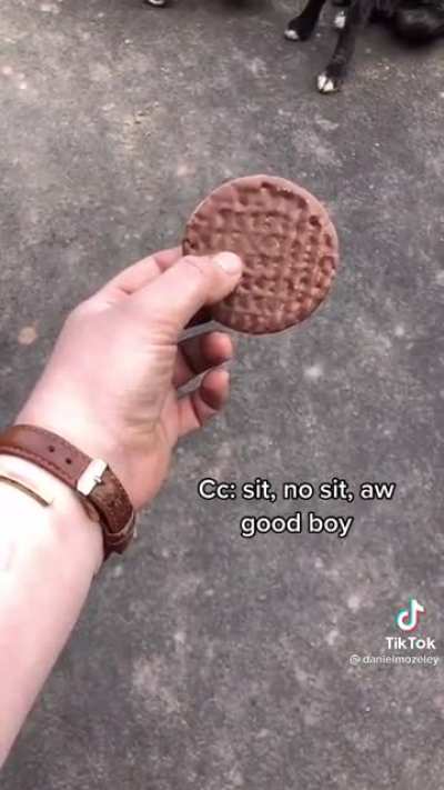 Atta good boy