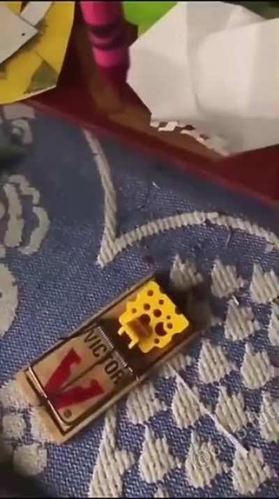 sensory delay