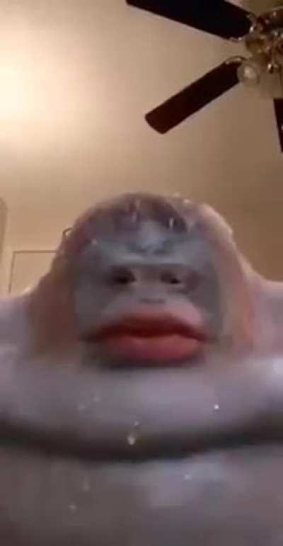 POV: you referred to the poop god as 