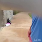 I’m loving this loop.