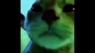 Me queuing up after losing in the final again
