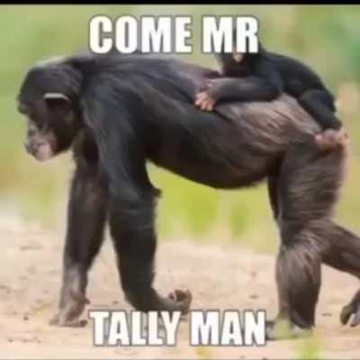 tally monke