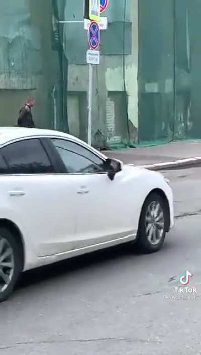 A cat, a crow and a man having a walk
