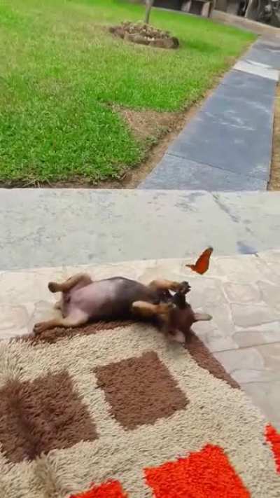 Awwwwww