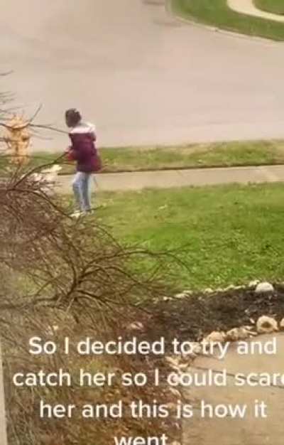 OOOGA BOOGA
