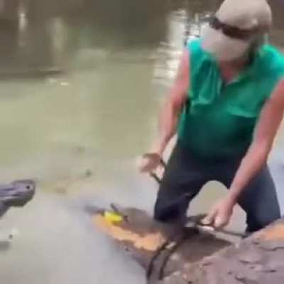 Shooing away a crocodile