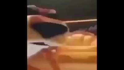 McDonalds employees be like