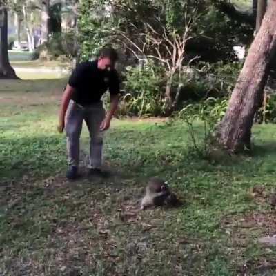 I believe this sport is called 'Racoonball'.