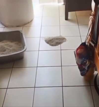 Just Gotta Grab The Dustpan