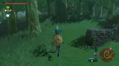So I just got the moblin mask and i'm curious if this is typical moblin behavior now that i'm wearing it...