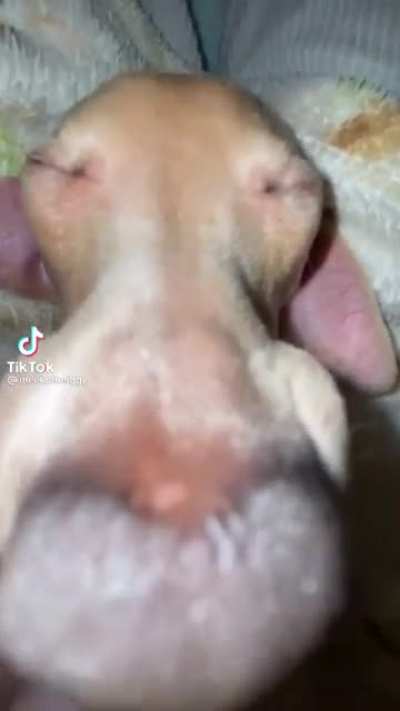 Règle
