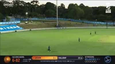 A left handed opener takes great diving catch while looking backwards just outside 30 yard cricle on November 19. Chat, where have I seen this before ?