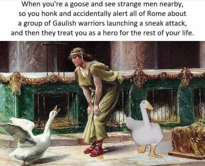 Sacred Geese of Juno were some real bros