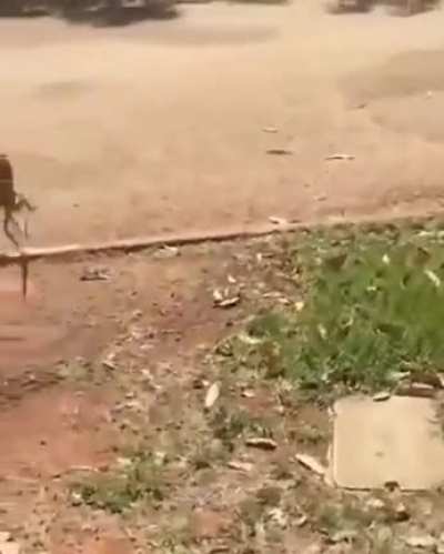 Wait..come back