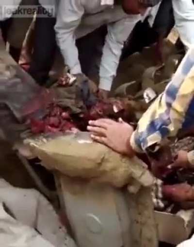 [GORE/ЖЕСТЬ] Трактор распотрошил фермера