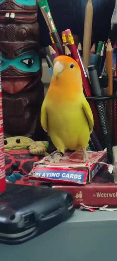 Can do attitude