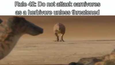 rule 42