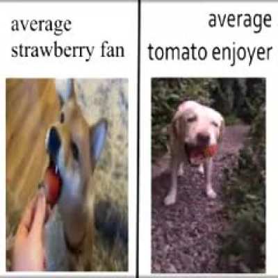 Rule