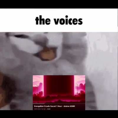 Me when Episode 4 of Neon Genesis Evangelion (my favourite episode tbh)