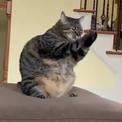 Şişko kedi redditin ülkemize bilgileri vememesi için kgbyi kutsuyor.
