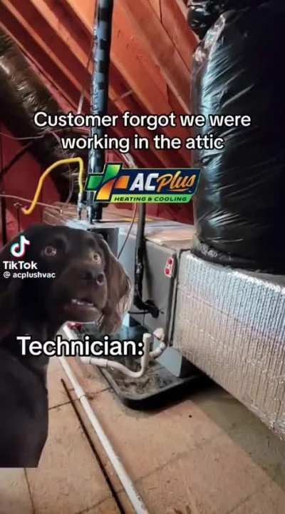lol