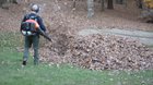 Blowing Leaves