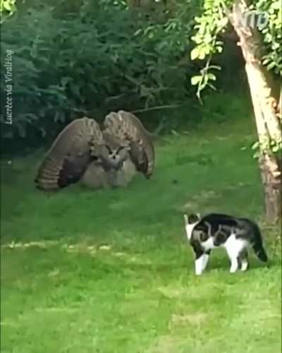 dont come any closer