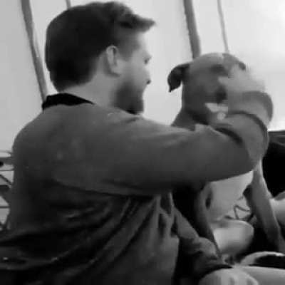 She doesn't bite