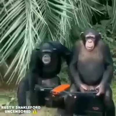 Lol