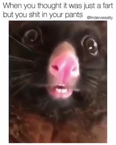 Oh no...