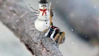 Blursed Christmas spiders