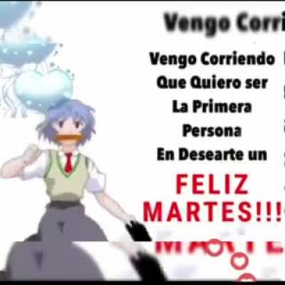 FELIZ MARTES 🎉