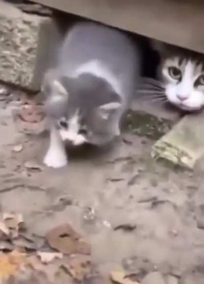 Immediately