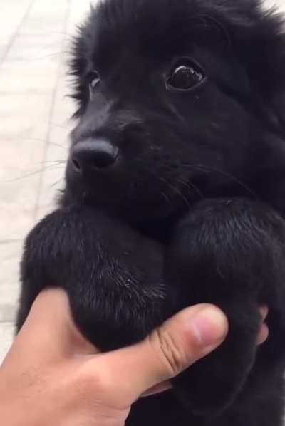 Sweet baby