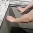 The 