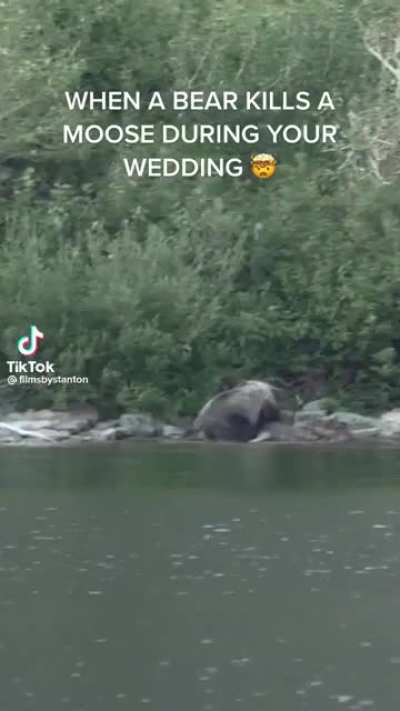 When nature keeps it real at your nature themed wedding (not for everyone. Nature can be vicious)