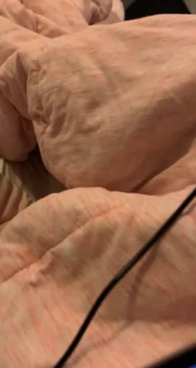 She hides
