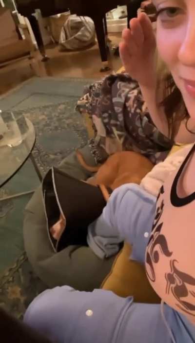 Billie Eilish slapping her tits compilation