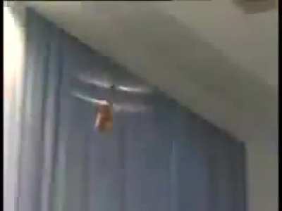 Press conference invaded by flying dildo